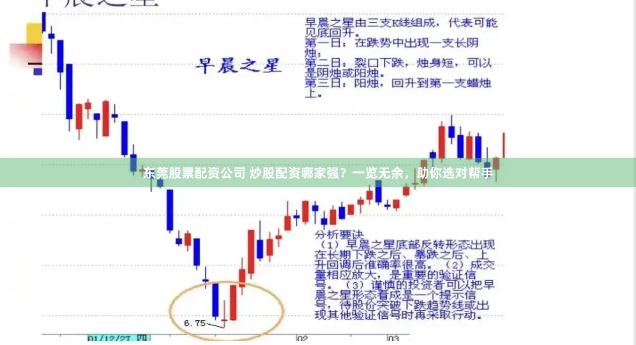 东莞股票配资公司 炒股配资哪家强？一览无余，助你选对帮手