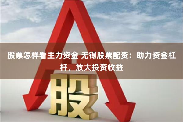 股票怎样看主力资金 无锡股票配资：助力资金杠杆，放大投资收益