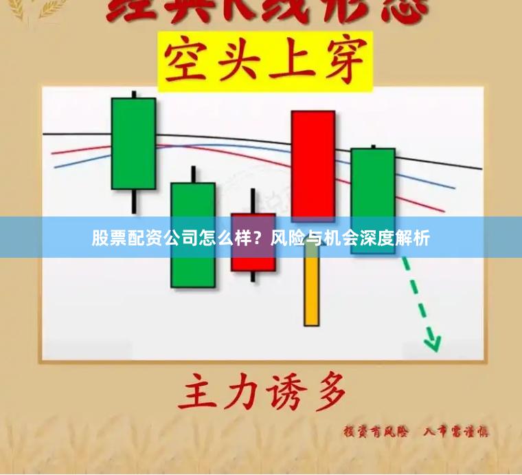 股票配资公司怎么样？风险与机会深度解析