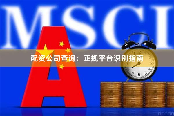 配资公司查询:正规平台识别指南